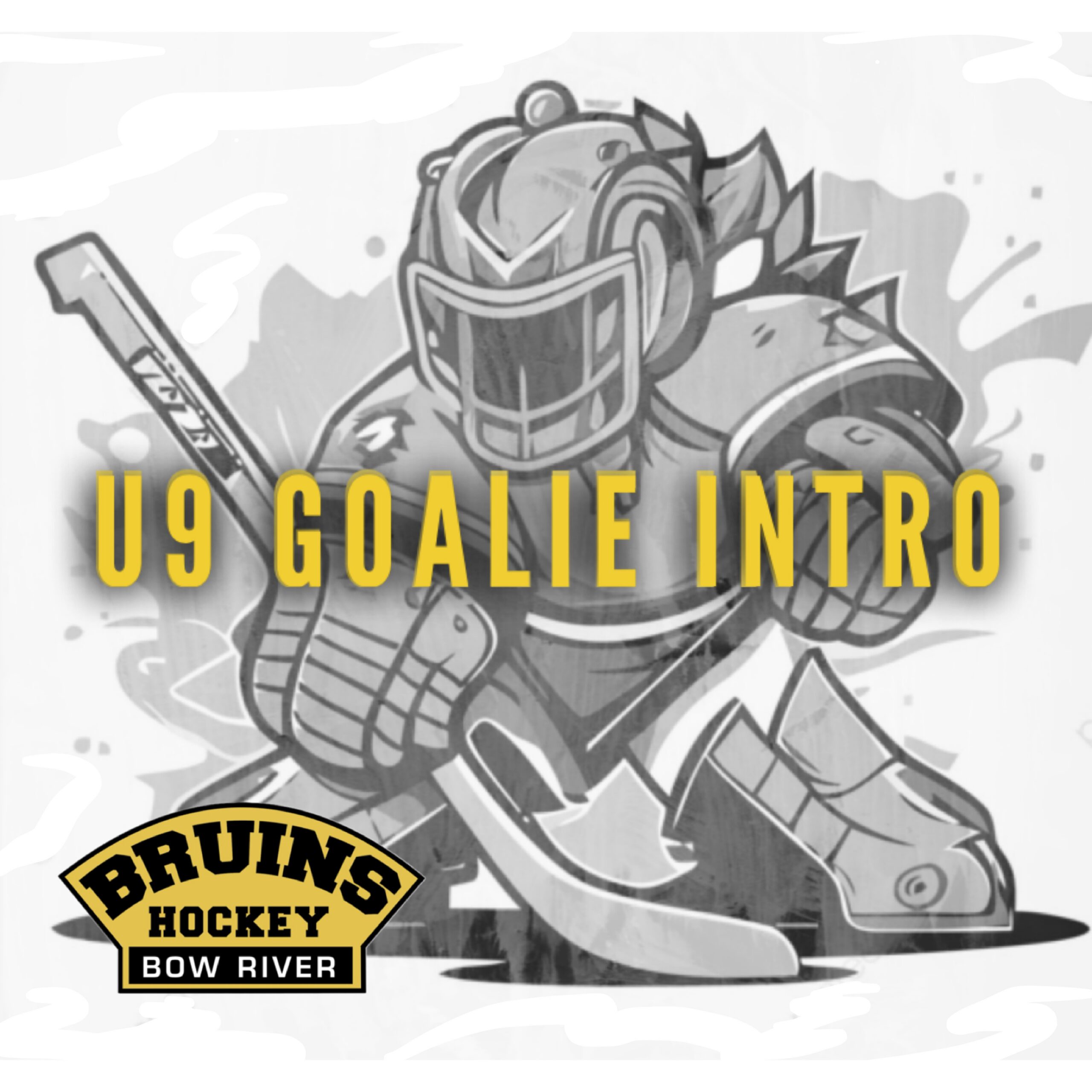 u9 goalie intro